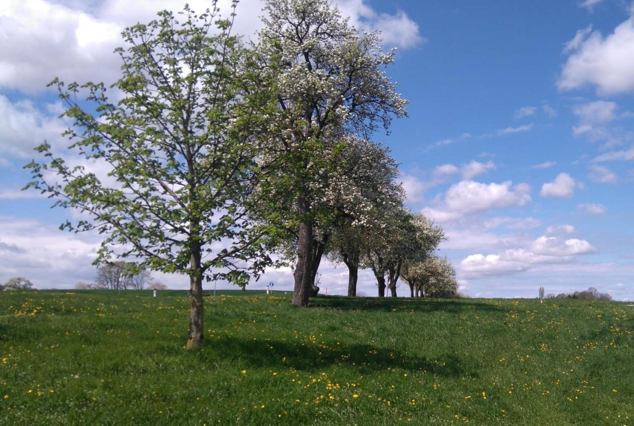 Familienbauernhof Strassbauer Villa Steinakirchen Am Forst Luaran gambar